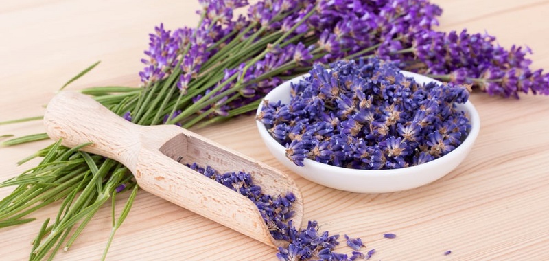 lavanda pentru acnee